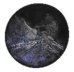 Click for larger picture