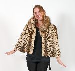 Click for larger picture