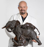 Click for larger picture