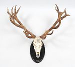 Click for larger picture