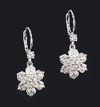 Click for larger picture