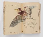 Click for larger picture