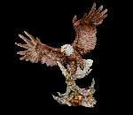 Click for larger picture