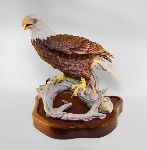 Click for larger picture