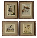 Click for larger picture