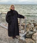 Click for larger picture