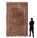 Click for larger picture