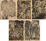 Click for larger picture