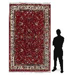 Click for larger picture