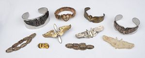 air force wings