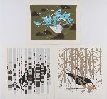 Click for larger picture