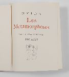 Click for larger picture