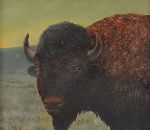 Click for larger picture