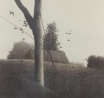 Click for larger picture