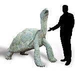 Click for larger picture