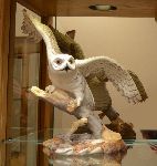 Click for larger picture