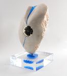 Click for larger picture