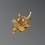 Click for larger picture