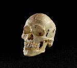 Click for larger picture