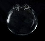 Click for larger picture