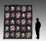 Click for larger picture