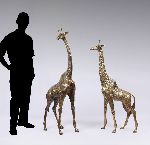 Click for larger picture