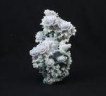 Click for larger picture