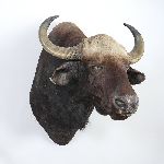 Click for larger picture