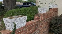 Cement Planters