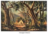 Guisseppe Cattaruza Oil On Canvas