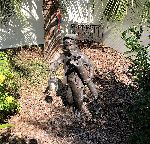 Click for larger picture