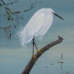 Click for larger picture