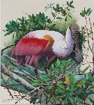 Click for larger picture