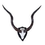 Click for larger picture