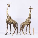 Click for larger picture