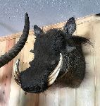 Click for larger picture