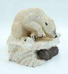 Click for larger picture