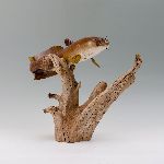 Click for larger picture