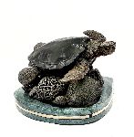 Click for larger picture