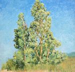 Click for larger picture