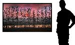 Click for larger picture