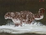 Click for larger picture