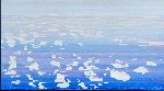Click for larger picture