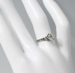 Click for larger picture