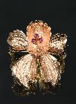 Click for larger picture
