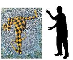 Click for larger picture