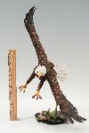 Click for larger picture